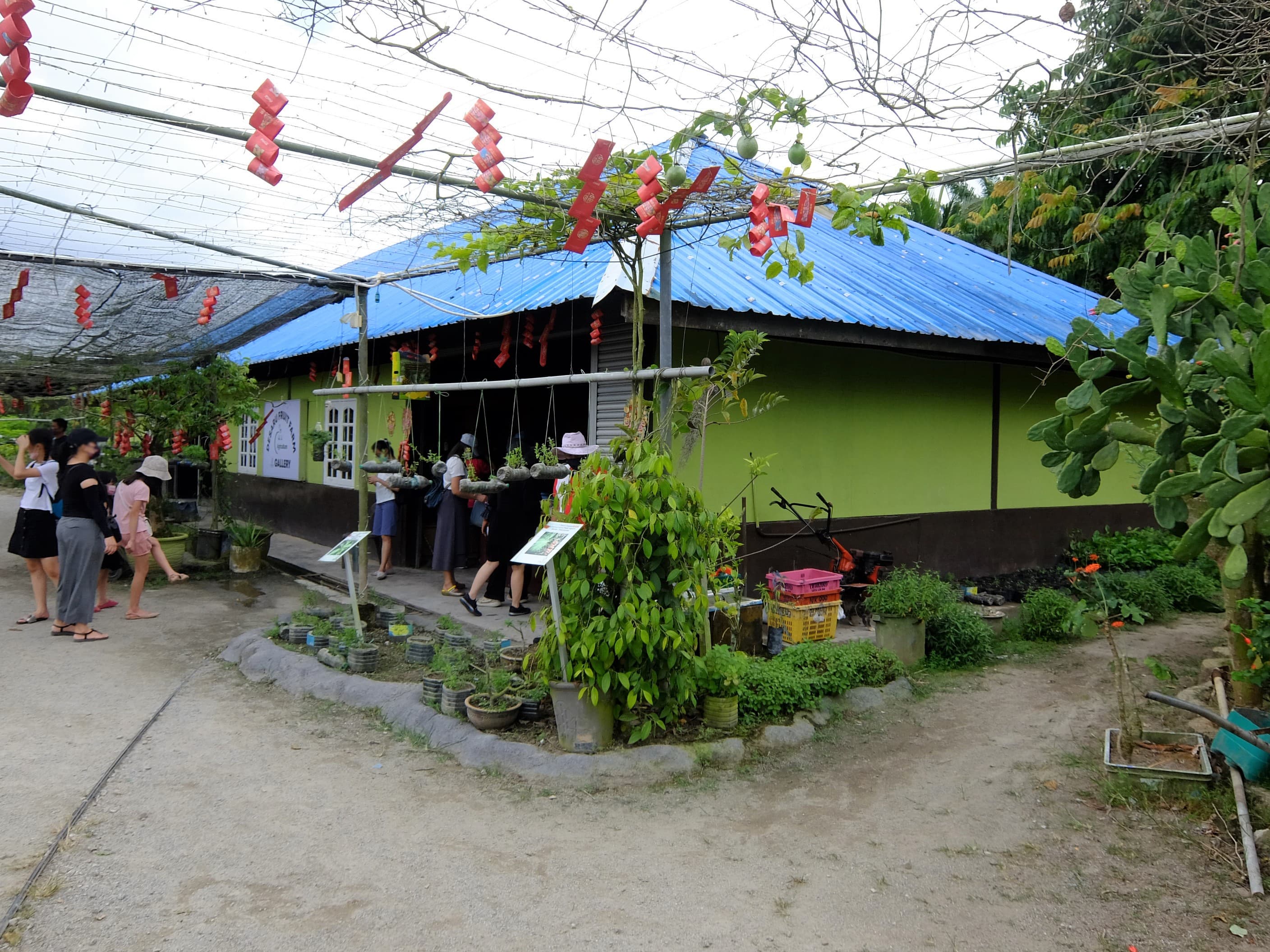 Display of tropical fruits and produce at Desaru Fruit Farm