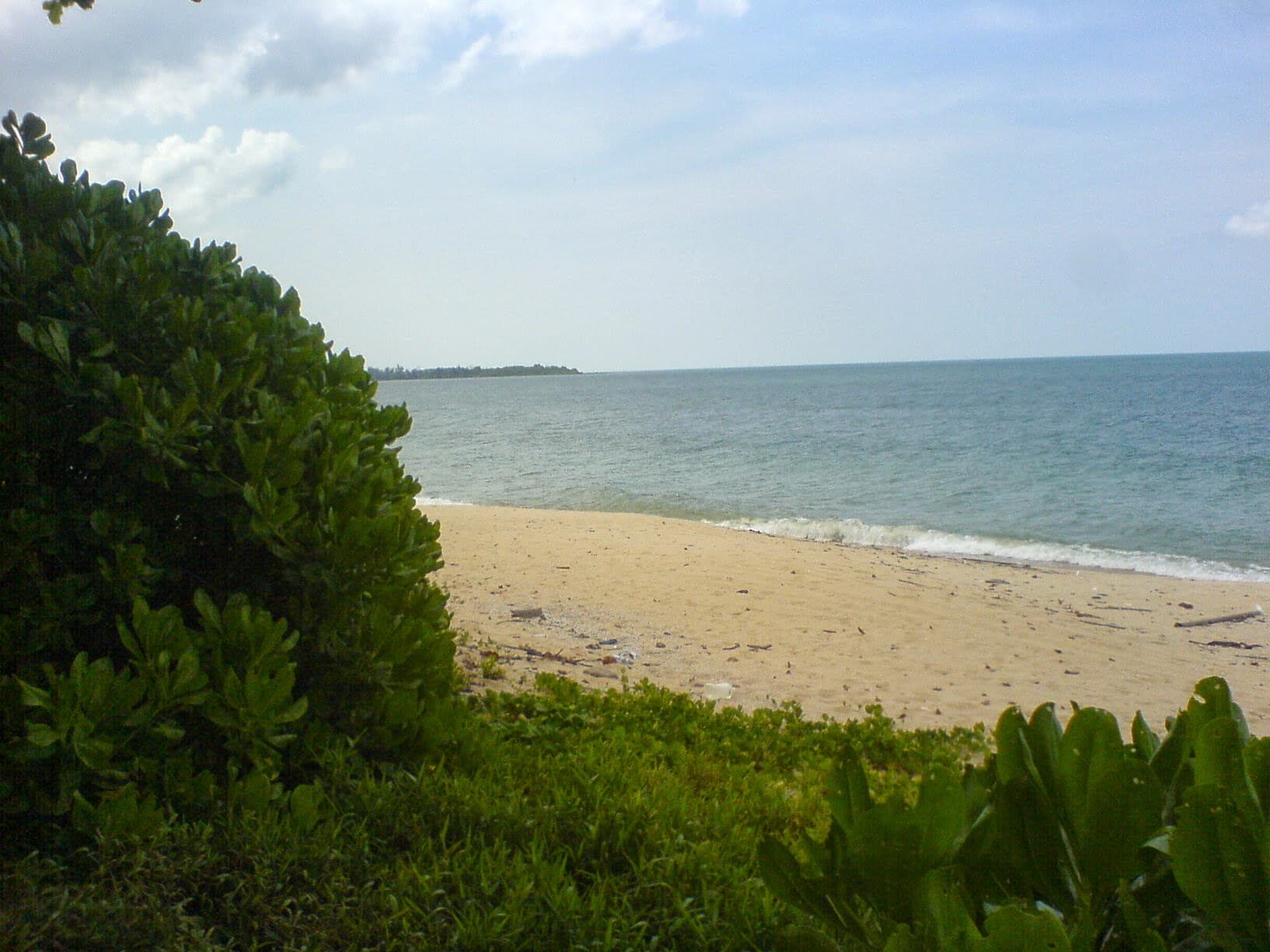 Palm-fringed sand and calm water at Pantai Desaru